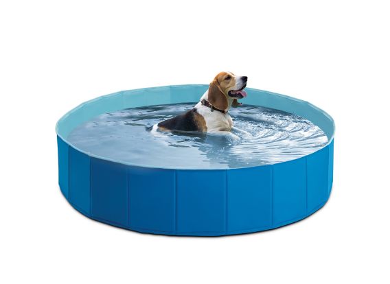 Piscine pliable pour chien | Intex