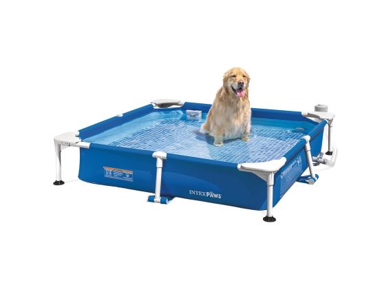 Piscine pour chien Intex 152 x 152 x 30 cm | Piscine à cadre avec pompe à filtre