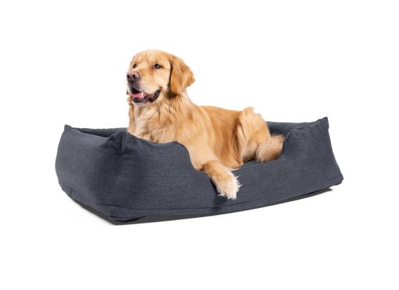 Lit gonflable pour chien | Taille moyenne