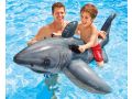 Requin blanc gonflable